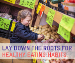 Healthy Habits Weld County WIC Colorado