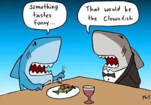 Fish Joke Weld County WIC Colorado